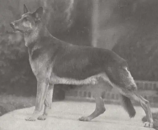 OESGR 1921, V, US.CH. Geri von Oberklamm