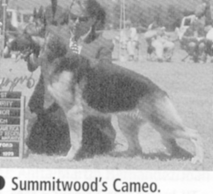 Summitwood's Cameo
