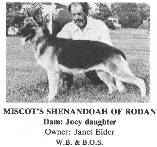 Miscots Shenandoah Of Rodan