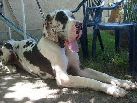 Atlas D'Apres Nature