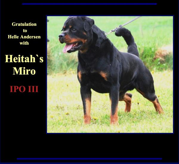 HEITAH'S MIRO