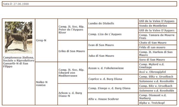 PL.CH. Gamarth-N di san filippo