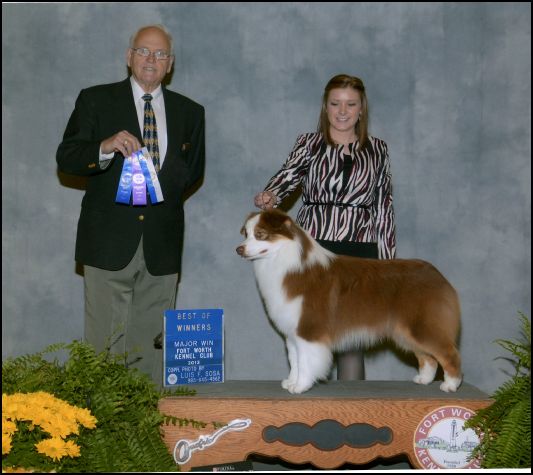 AKC/ASCA CH Northbay's Who Dat N Bayouland