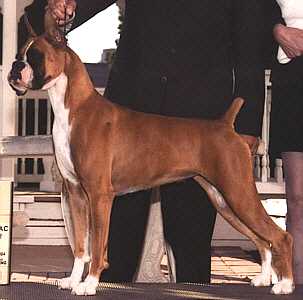 GUAPA (SOTO) MEX FCI