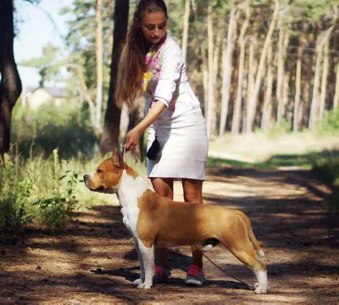 JCH RUS, CH RUS, CH RKF Right Option iz Sozvezdiya Staff