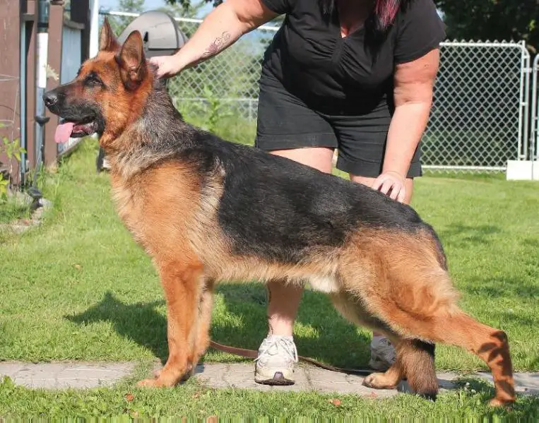 Nash von Chamootzka