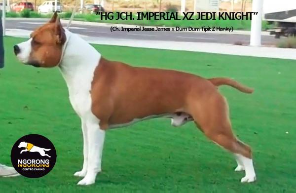 Int.Ch.Esp.Ch.Srb.Ch.HCH. Imperial XZ Jedi Knight