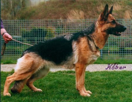 V Xena aus Wattenscheid