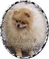 Showin's The Keno Kid