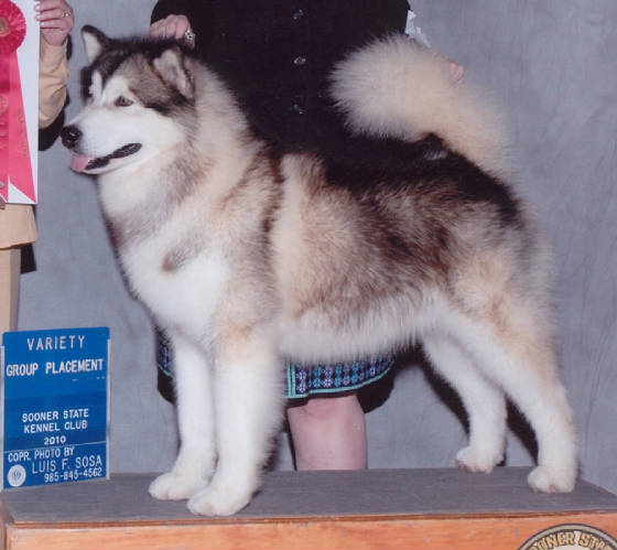 CH Kaviak's Big Bang Theory