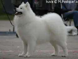 Wuffkun Iltaihme