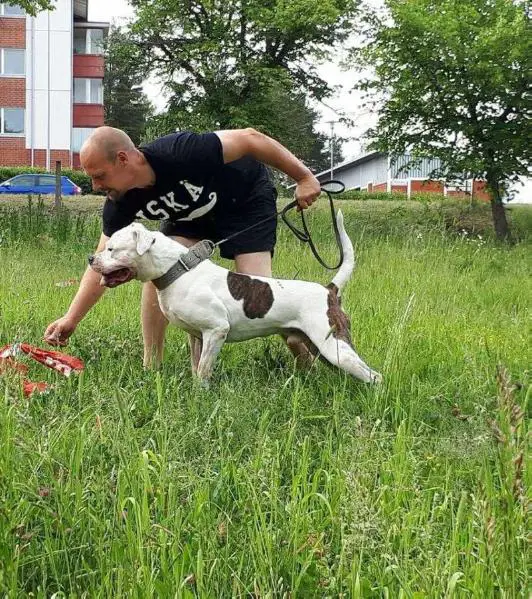Ewpl european champion -37 class 2016 Pete's Oswald chesterfield cobblepot