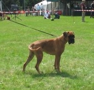 Virginia Balderbusse