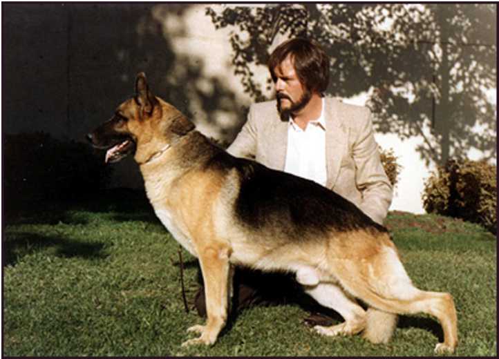 Doppelt-Tay's Masterkey