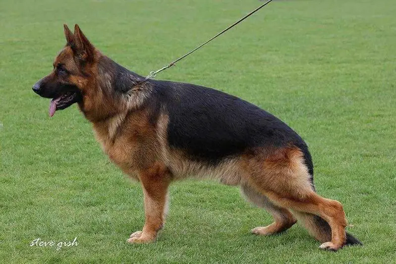 V Sem dei Colli Storici