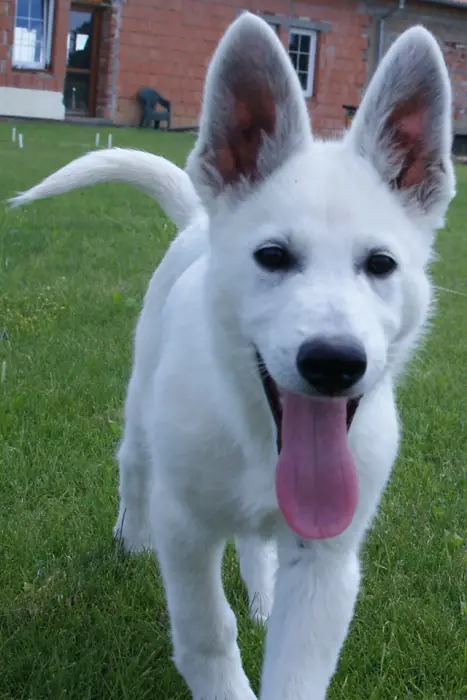 Aquanura Bělohlávek