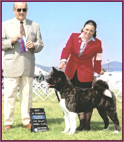 AKC CH Hoka-Hey's Cherokee Rose