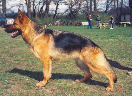 V Dannie von Oxsalis