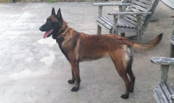 Top Gun's Bijou