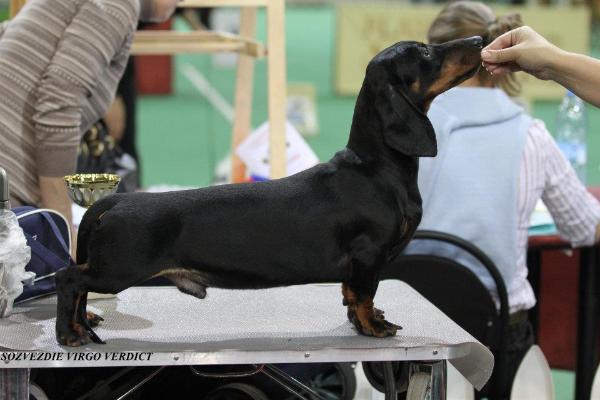 Sozvezdie Virgo Verdict