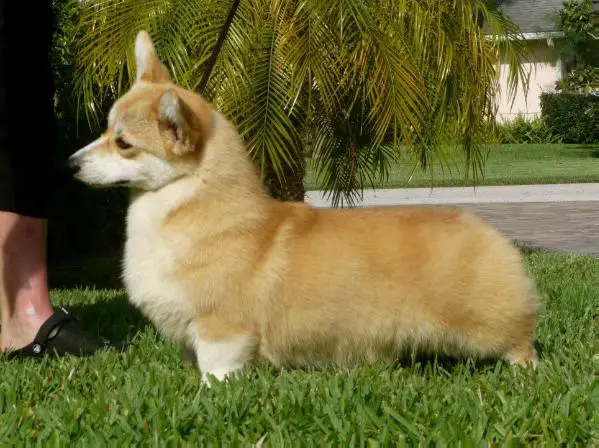 Born To Be Your Cassiopeia