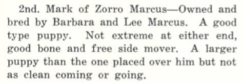 Mark of Zorro Marcus