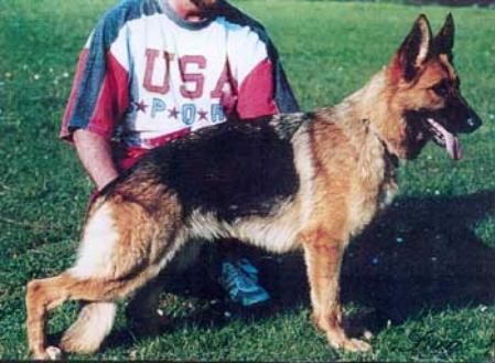 V Larissa von der Grafschaft Mark