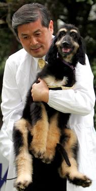 Snuppy (Clone) Seoul National University puppy