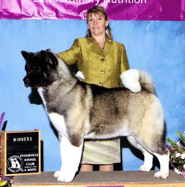 AKC/RUS  CH Alchemist Give Yourself To The Darkside