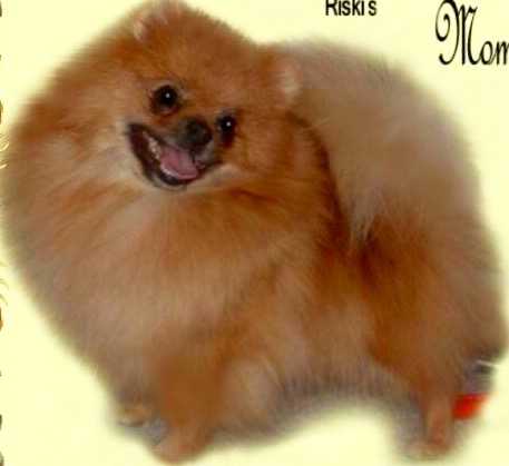 Kitsan Palisades Talk About Me