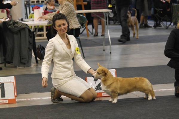 JRUS CH,LT CH,2CACIB Akmanai Evelin