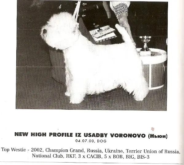 CH GRAND, CH RUS, UA New High Profile iz Usadby Voronovo