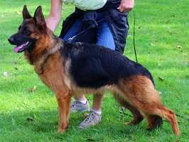 V Xtra vom Mittelwest