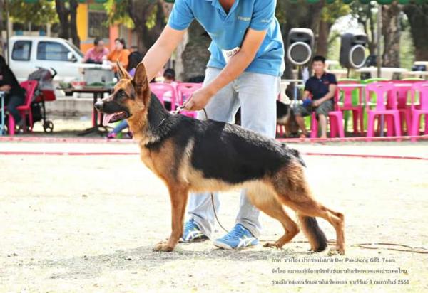 Boka vom Muang Ling
