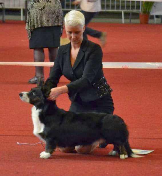 Sichaz Gregory of Gowerston