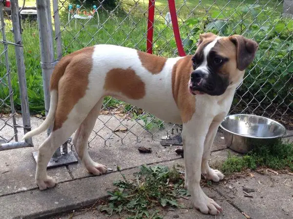 Madame Kora of Sparta