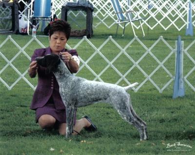 CH Winter Creek's A Spec Naughty