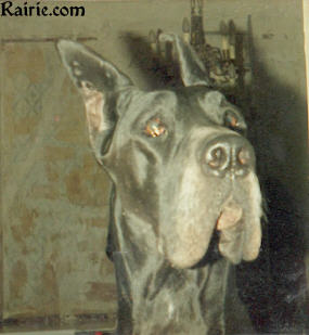 Vania du Domaine de Valdemar