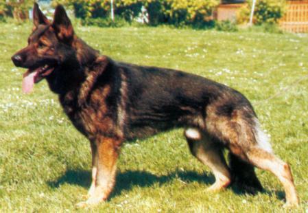 V Ferry vom alten Schemel