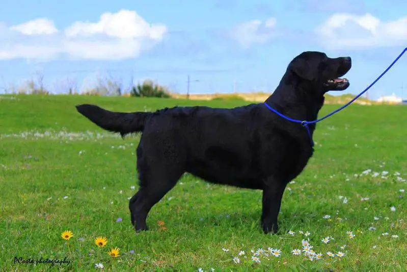 BMW15 Daasanach Tribus da Quinta Anunnakis