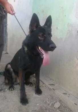 Atlas von Charaville