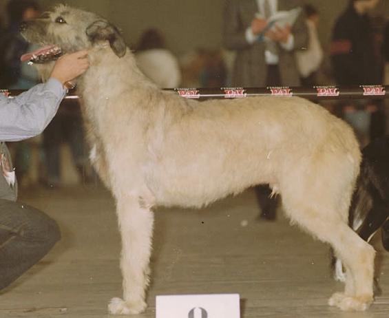 CH Zimba von der Oelmühle
