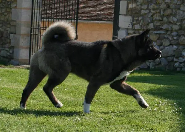 V.I.P du Val de la Boissiere