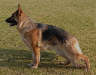 V Amy von Mount Cook