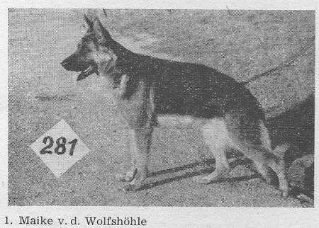 SG- Maike von der Wolfshöhle
