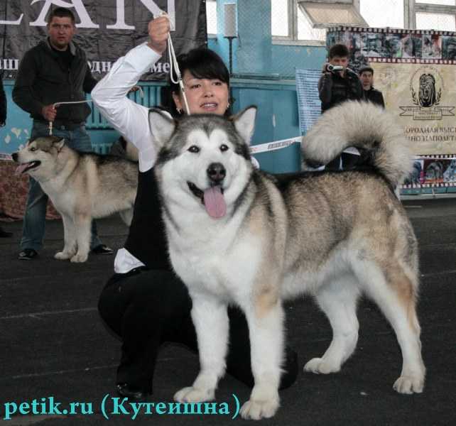 Deya ot Fillippovoy