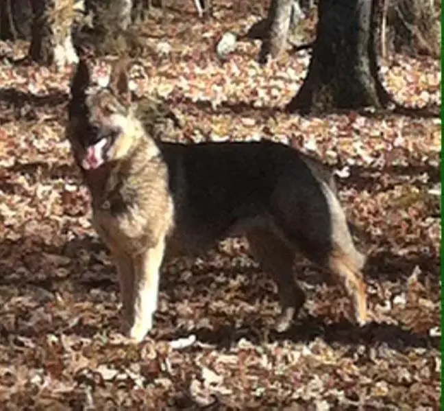 House of Powers Heidi