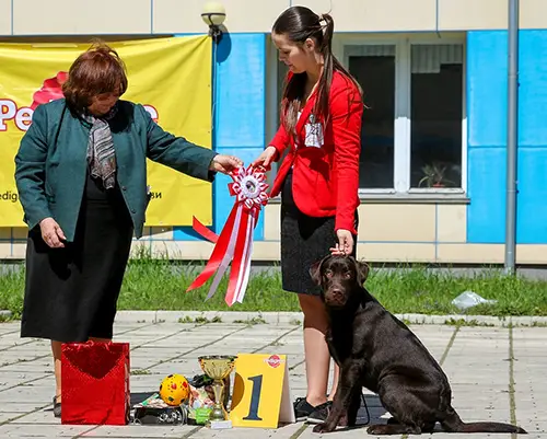 CH RUS,JCH RUS Ermiony Bringing Victory