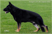 V Keagan von der Salztal-Höhe