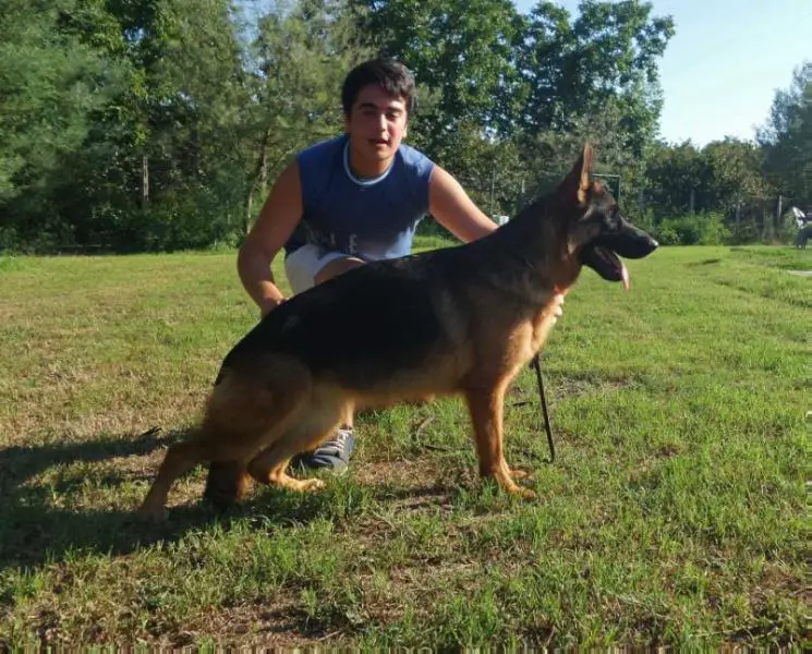Belen di casa Maiorano